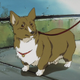 Illustration for article titled Following the Dog of the Mindem/em